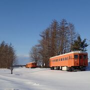 気動車が展示してあります