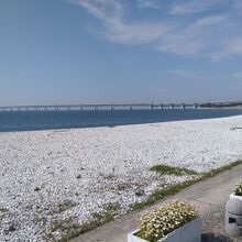 マーブルビーチ