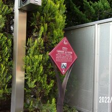 プレートの様子です。