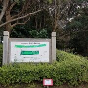 東関東自動車道に沿うようにある細長い公園