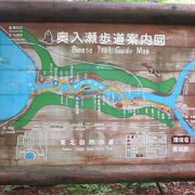 大町桂月の「歩きゃ、奥入瀬三里半」のうち石ケ戸から十和田湖まで散策しました。