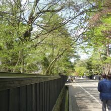 屋敷通りはちりそめ