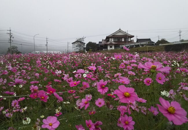 郷の駅食堂