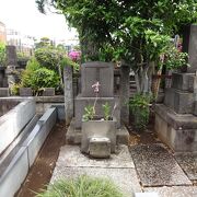 こんなところに、芥川龍之介のお墓がありました。