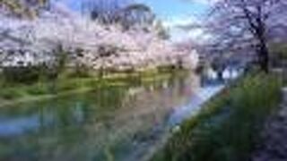 桜の季節は、優雅な散歩ができる。