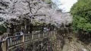 有名な飛鳥山公園にも近いです。