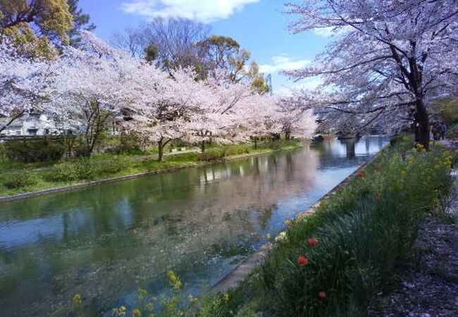 伏見みなと公園