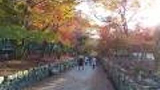 紅葉で、参道が紅く染まるお寺。