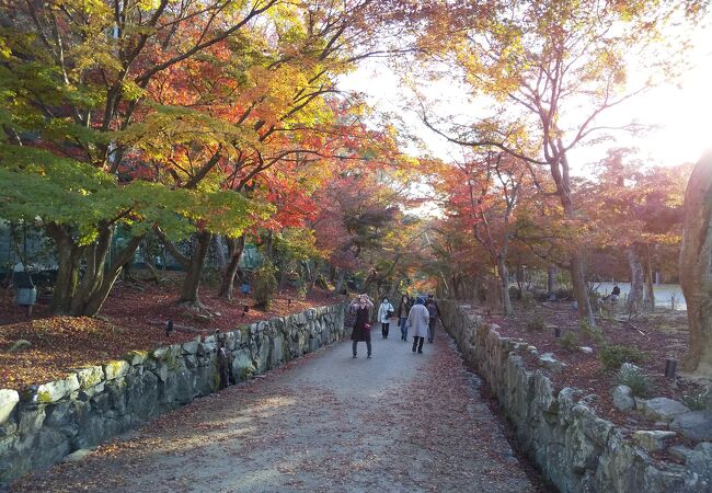 紅葉で、参道が紅く染まるお寺。