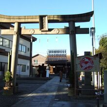 意外とコンパクトな神社です