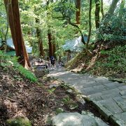 出羽三山のひとつ羽黒山の羽黒神社に参拝するには2446段の階段を登ります