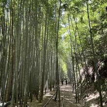 山守駅に向けて進んでいくと、こんな風景が広がります。