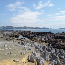 遠くが大島