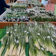 野菜がリーズナブルでした。