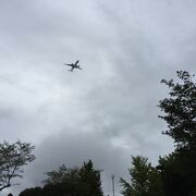 飛行機が見える