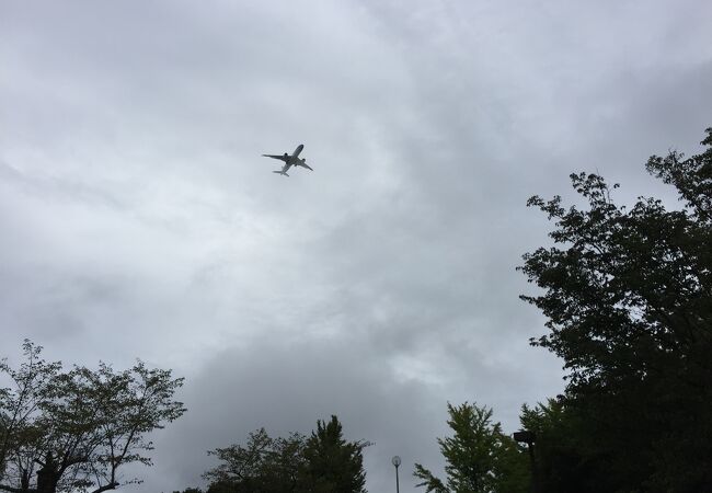 飛行機が見える