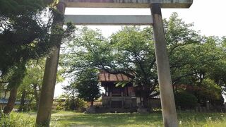 高根山山頂にあります