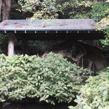 案内板の場所からはこの屋根しか見えませんでした。