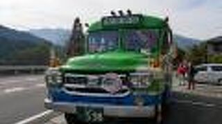 大歩危・祖谷定期観光バス (ボンネットバスツアー)