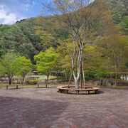 ふかしろ湖湖畔の公園