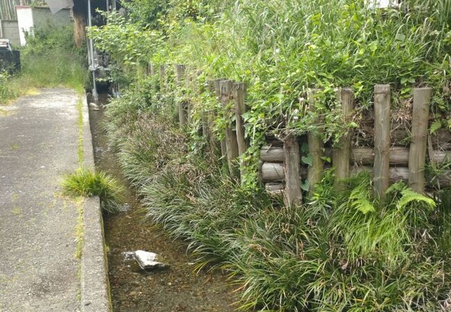 日野市立図書館