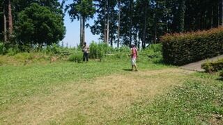 無料で楽しめる公園、一部有料