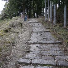 整備された石畳の登城道