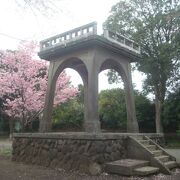 3月下旬、伊勢山公園の横浜緋桜が満開でした。