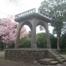 横浜緋桜(2022.3.26撮影)