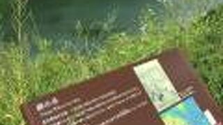 草むらの中に看板