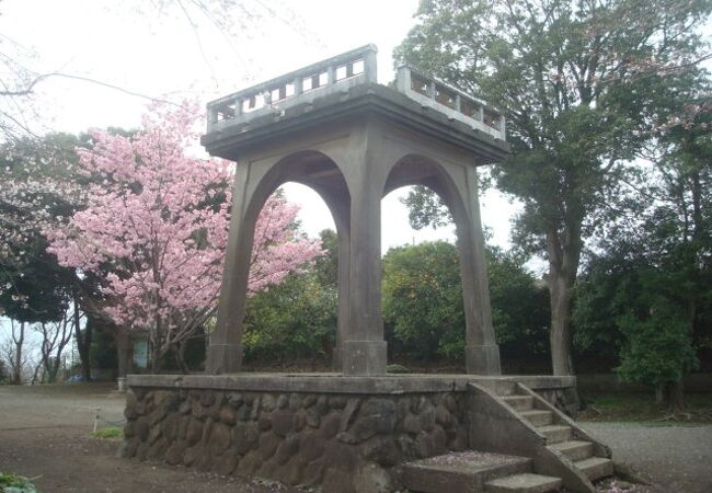 3月下旬、伊勢山公園の横浜緋桜が満開でした。
