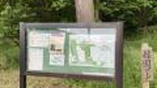 千葉の広大な公園