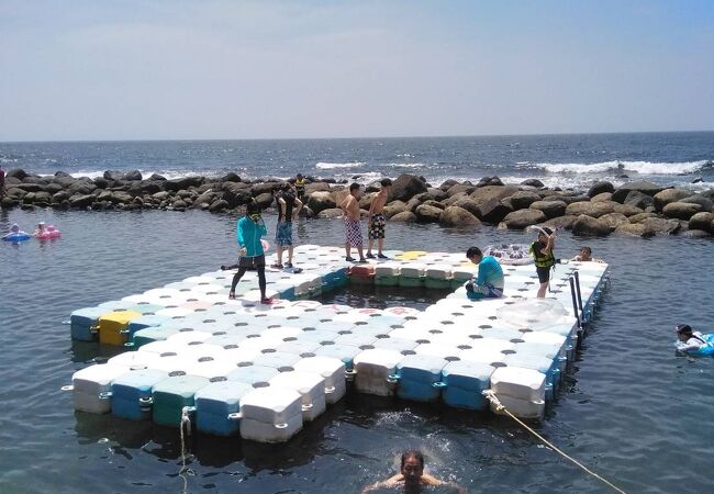 海に入るっていうより磯で生き物探し