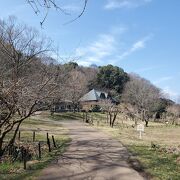 里山の再現