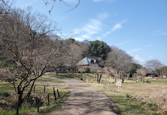 里山の再現