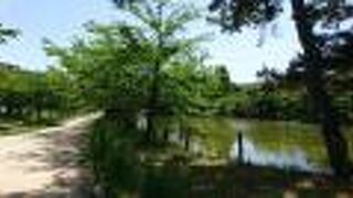 今後は櫓なども再建される予定です