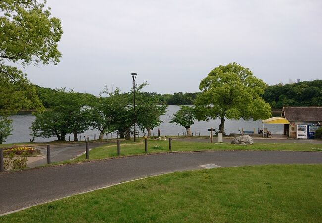 芝生の気持ちよい公園