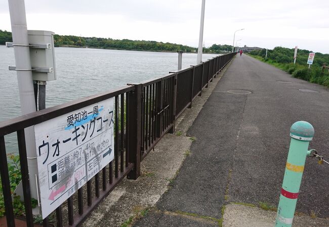 雨のウォーキング