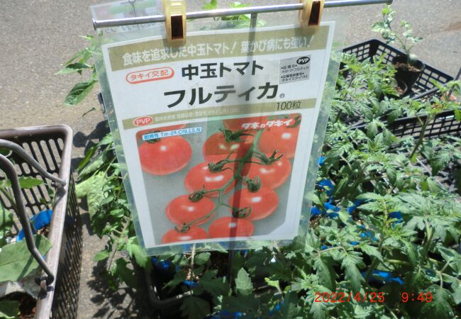 4月25日に夏野菜の苗を買いに行きました。