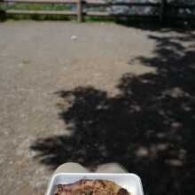 坂の上にある「羊山公園・見晴らしの丘」でピクニック。