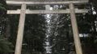 ひっそりとしています。