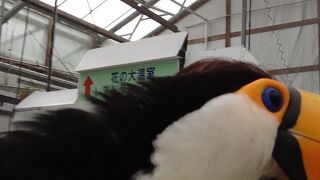 鳥まみれになれる私のサンクチュアリ