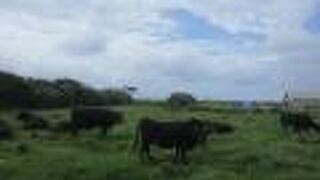 放牧されています