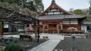 花桃の丘が見事です。