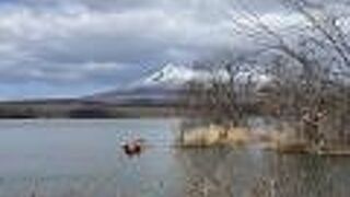 大小の島々が浮かぶ美しい風景が見られる