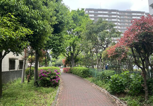 京町緑地 クチコミ アクセス 営業時間 川崎 フォートラベル