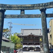 大きな山門と青銅の鳥居