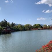 長岡天満宮境内の東側に広がる池