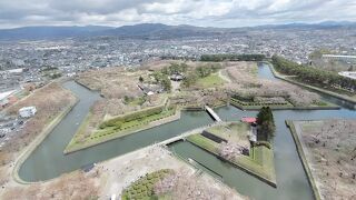 桜の時期の散策は楽しい