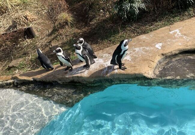 小さな動物園